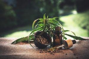 Hanfpflanze, Hanfsamen, CBD-Öl für eine Unterstützung der Gesundheit