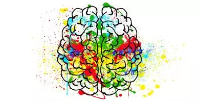 Skizze von einem Gehirn mit bunten Farben. Eine hömopathische Behandlung bei ADHS hilft, die Konzentration zu verbessern.